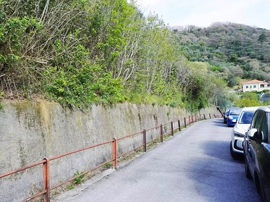 Immagine 7 di Terreno agricolo in vendita  in Via Montepino a Albisola Superiore