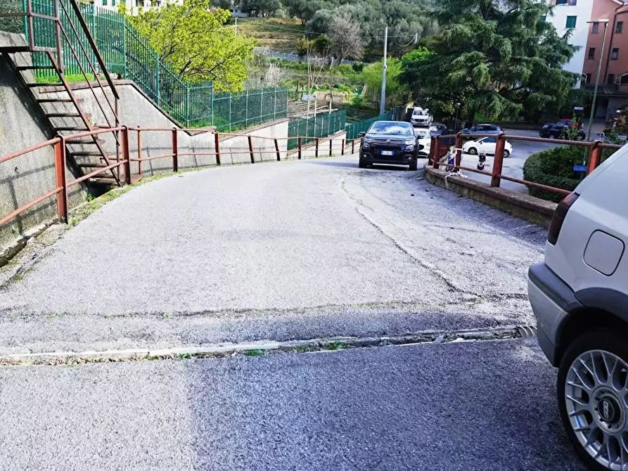Immagine 8 di Terreno agricolo in vendita  in Via Montepino a Albisola Superiore