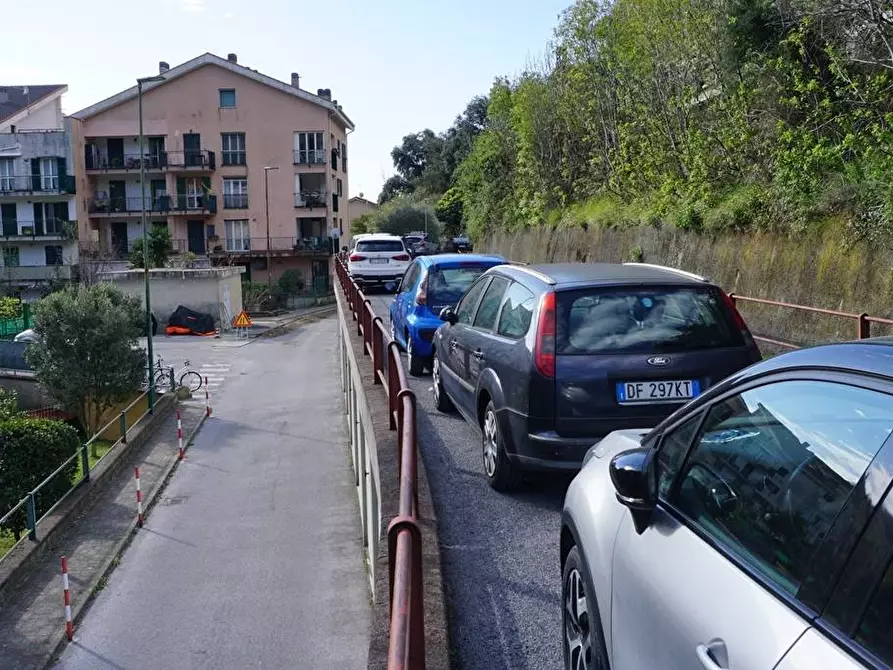 Immagine 9 di Terreno agricolo in vendita  in Via Montepino a Albisola Superiore