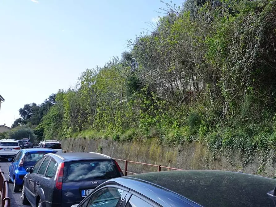 Immagine 10 di Terreno agricolo in vendita  in Via Montepino a Albisola Superiore