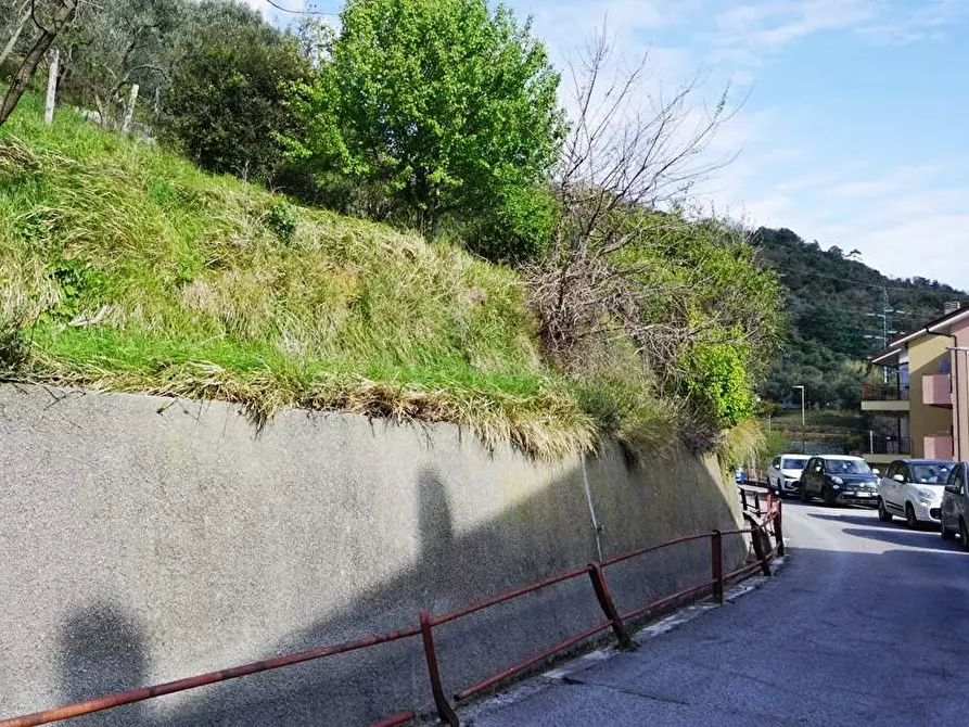 Immagine 11 di Terreno agricolo in vendita  in Via Montepino a Albisola Superiore