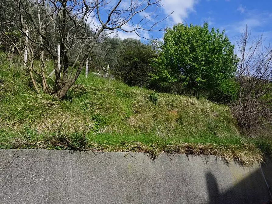 Immagine 12 di Terreno agricolo in vendita  in Via Montepino a Albisola Superiore