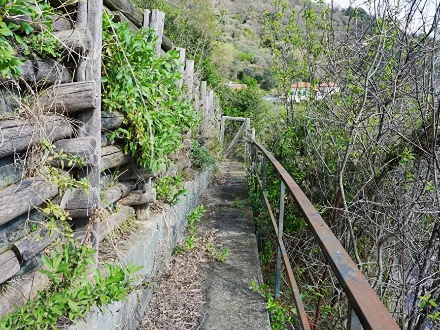 Immagine 13 di Terreno agricolo in vendita  in Via Montepino a Albisola Superiore