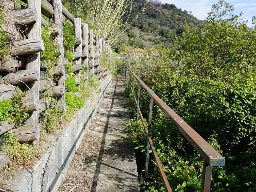 Immagine 14 di Terreno agricolo in vendita  in Via Montepino a Albisola Superiore
