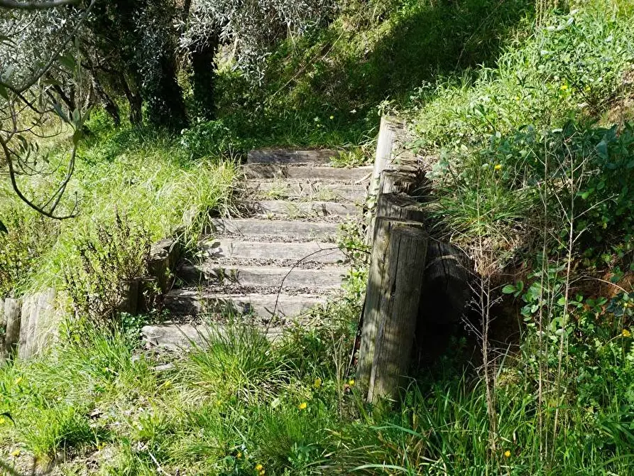 Immagine 16 di Terreno agricolo in vendita  in Via Montepino a Albisola Superiore