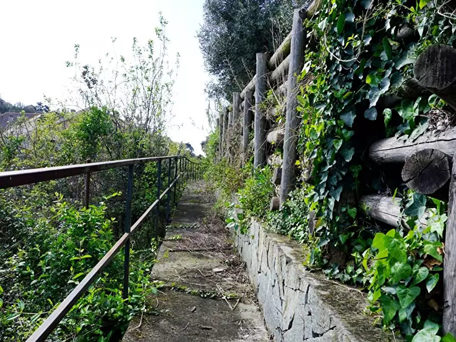 Immagine 18 di Terreno agricolo in vendita  in Via Montepino a Albisola Superiore