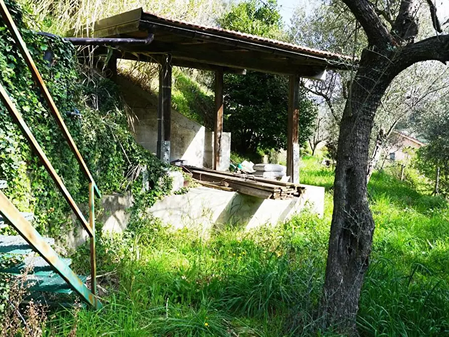 Immagine 20 di Terreno agricolo in vendita  in Via Montepino a Albisola Superiore
