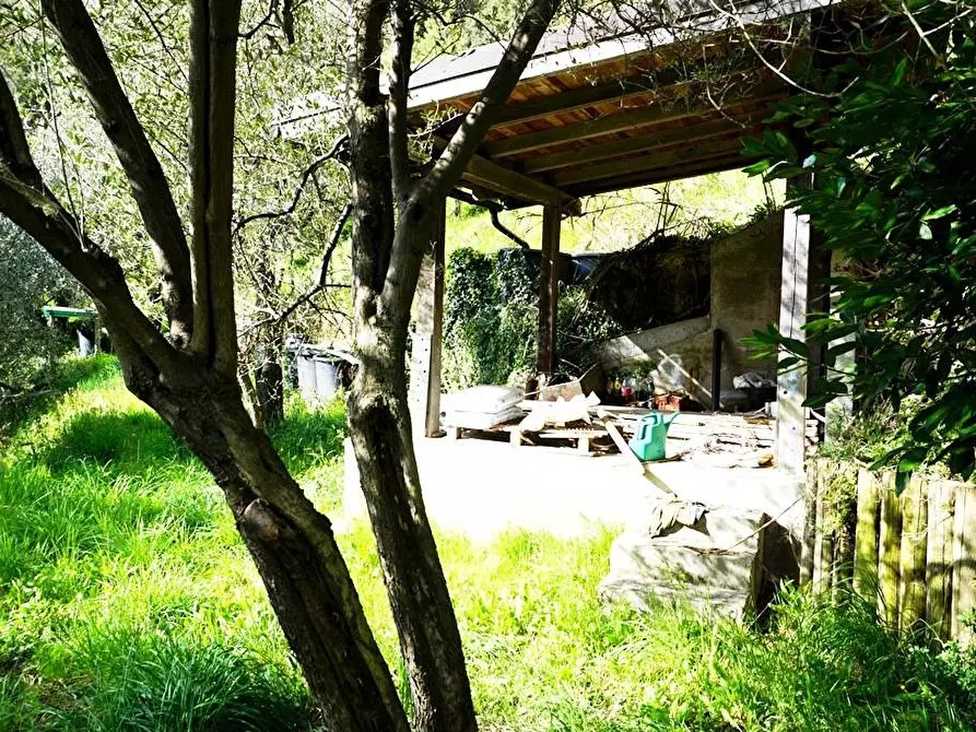 Immagine 21 di Terreno agricolo in vendita  in Via Montepino a Albisola Superiore
