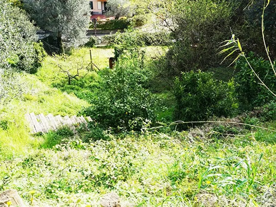 Immagine 22 di Terreno agricolo in vendita  in Via Montepino a Albisola Superiore