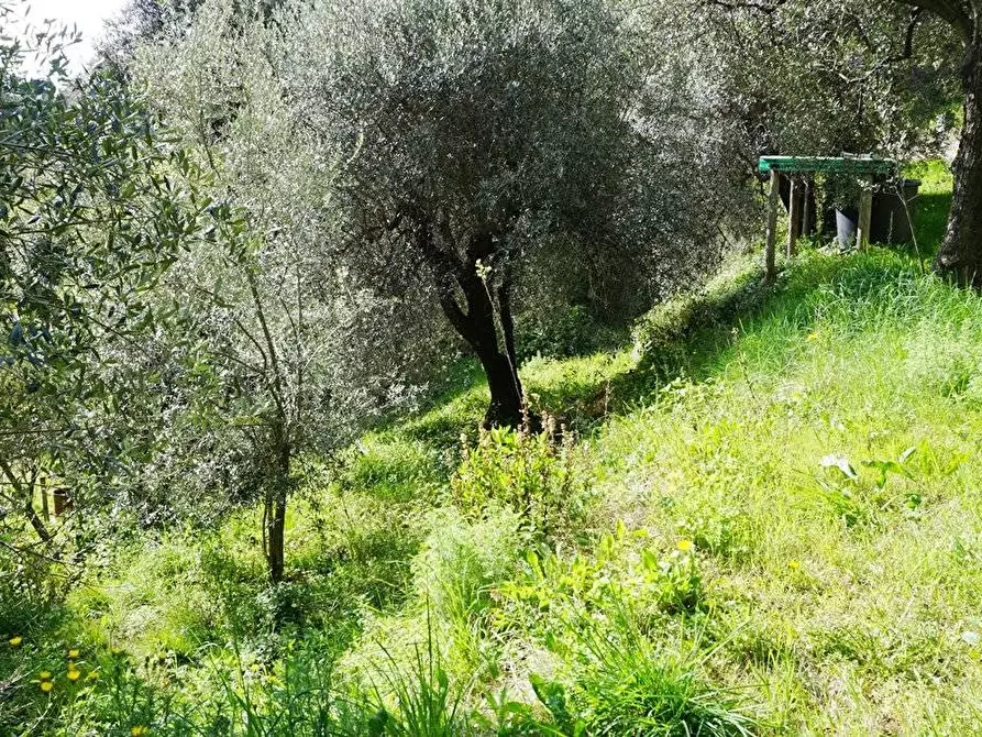 Immagine 23 di Terreno agricolo in vendita  in Via Montepino a Albisola Superiore