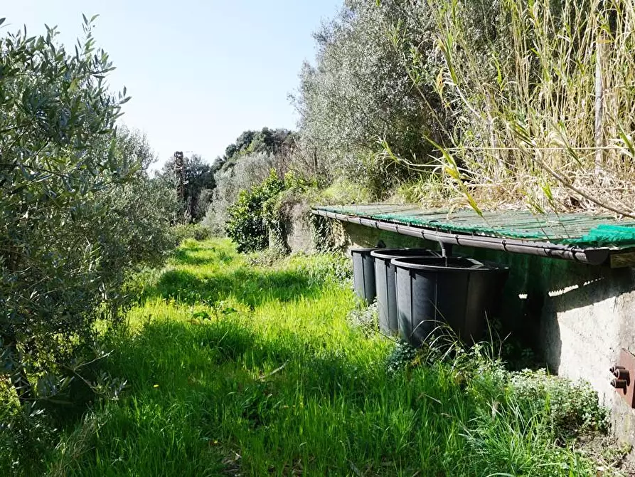 Immagine 24 di Terreno agricolo in vendita  in Via Montepino a Albisola Superiore