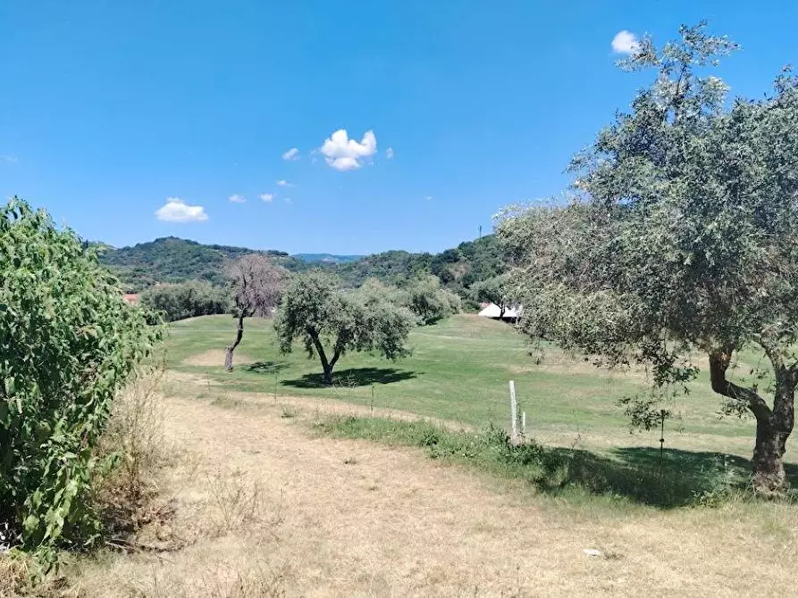 Immagine 18 di Appartamento in vendita  in Borgo degli Erchi a Albisola Superiore