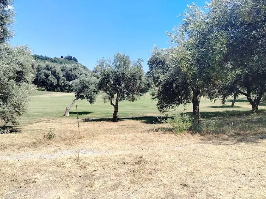 Immagine 20 di Appartamento in vendita  in Borgo degli Erchi a Albisola Superiore