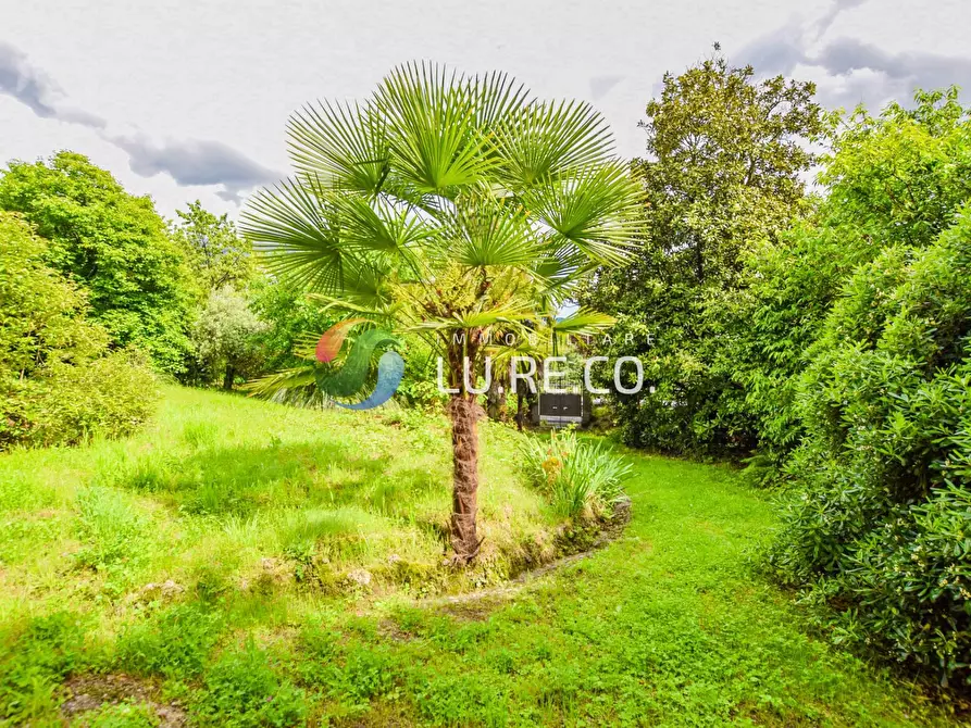 Immagine 30 di Villa in vendita  in Isonzo 1 a Inverigo