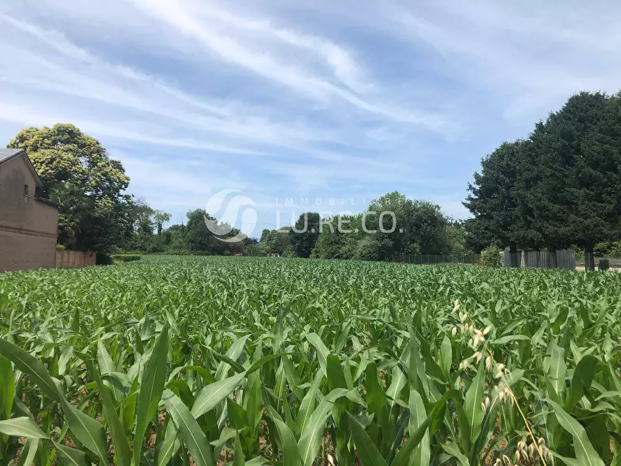 Immagine 6 di Terreno residenziale in vendita  in matteotti a Sovico