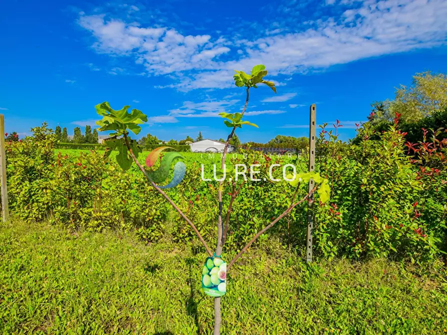 Immagine 1 di Terreno agricolo in vendita  in Via dell'industria a Vimercate