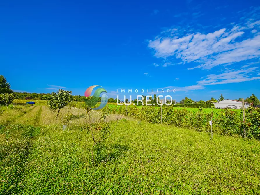 Immagine 2 di Terreno agricolo in vendita  in Via dell'industria a Vimercate
