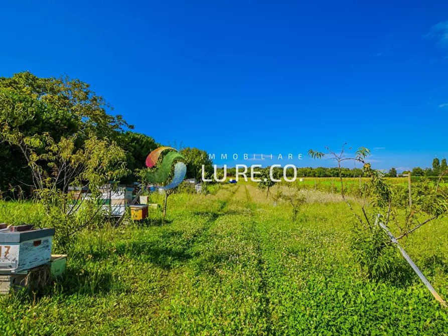 Immagine 3 di Terreno agricolo in vendita  in Via dell'industria a Vimercate