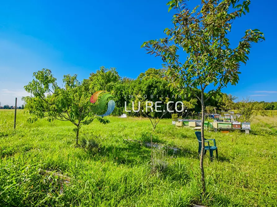 Immagine 4 di Terreno agricolo in vendita  in Via dell'industria a Vimercate