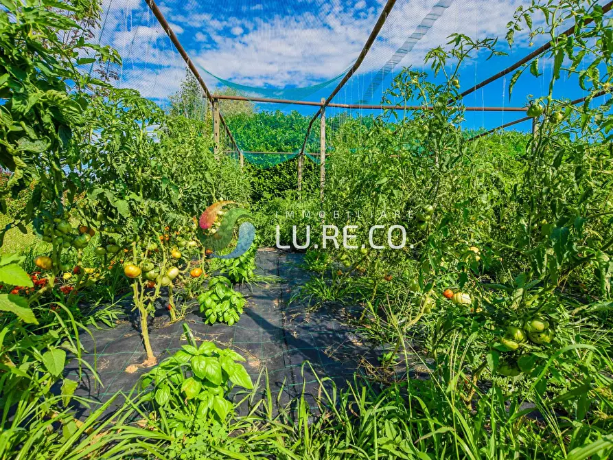 Immagine 5 di Terreno agricolo in vendita  in Via dell'industria a Vimercate