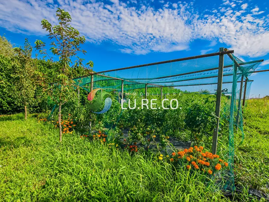 Immagine 6 di Terreno agricolo in vendita  in Via dell'industria a Vimercate