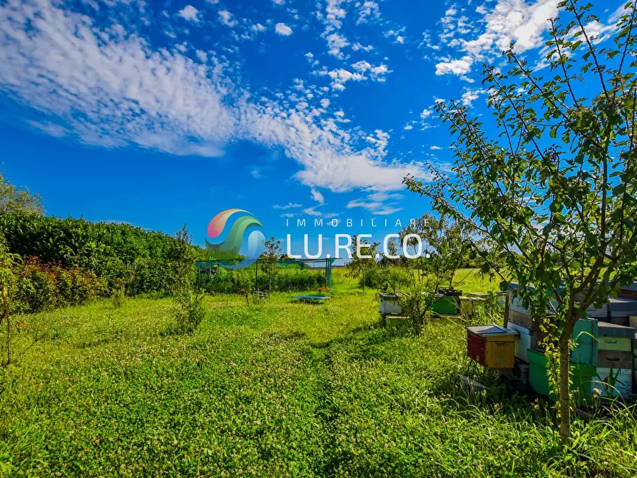 Immagine 7 di Terreno agricolo in vendita  in Via dell'industria a Vimercate