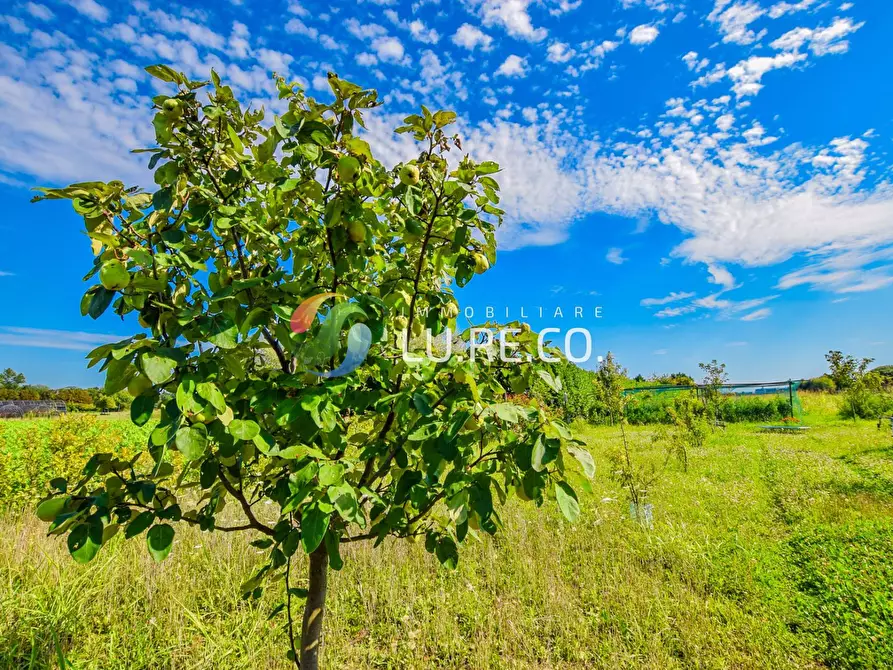 Immagine 8 di Terreno agricolo in vendita  in Via dell'industria a Vimercate
