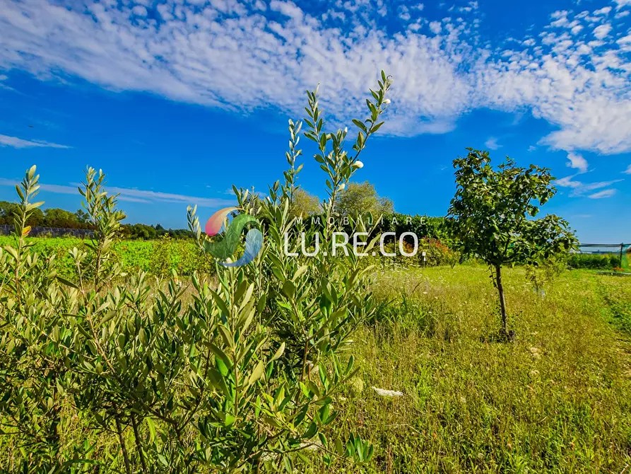 Immagine 9 di Terreno agricolo in vendita  in Via dell'industria a Vimercate