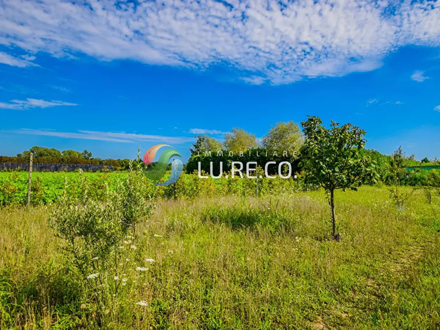Immagine 10 di Terreno agricolo in vendita  in Via dell'industria a Vimercate
