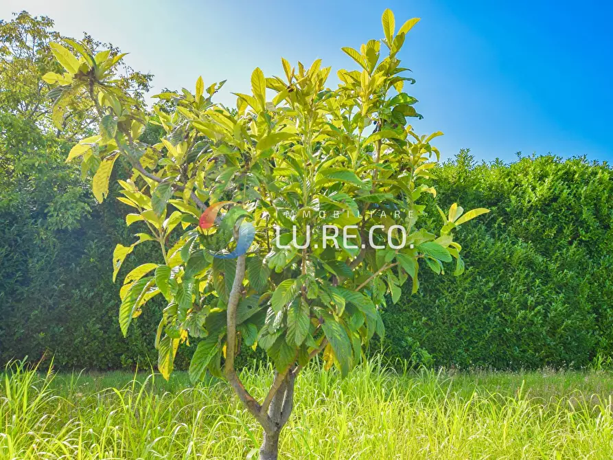 Immagine 11 di Terreno agricolo in vendita  in Via dell'industria a Vimercate