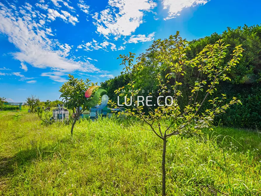 Immagine 12 di Terreno agricolo in vendita  in Via dell'industria a Vimercate