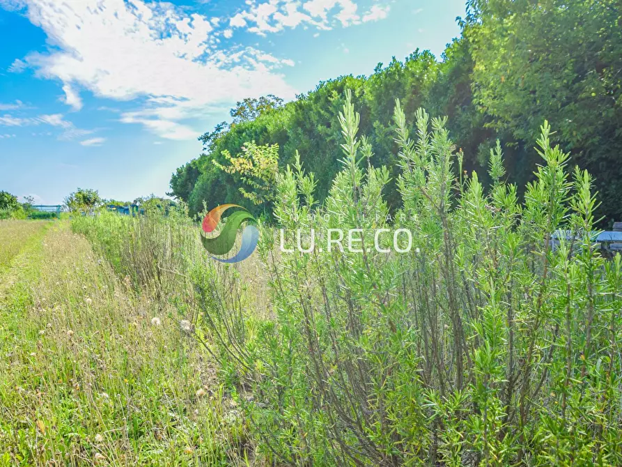 Immagine 14 di Terreno agricolo in vendita  in Via dell'industria a Vimercate