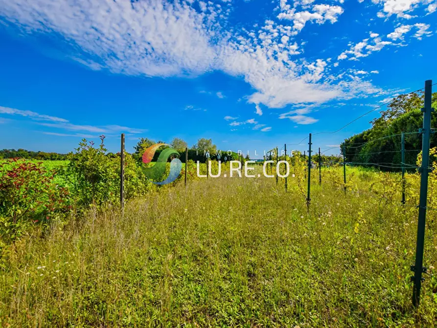 Immagine 15 di Terreno agricolo in vendita  in Via dell'industria a Vimercate
