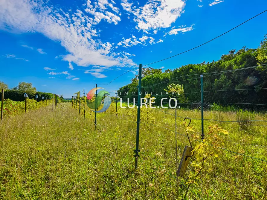 Immagine 16 di Terreno agricolo in vendita  in Via dell'industria a Vimercate