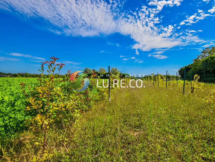Immagine 17 di Terreno agricolo in vendita  in Via dell'industria a Vimercate