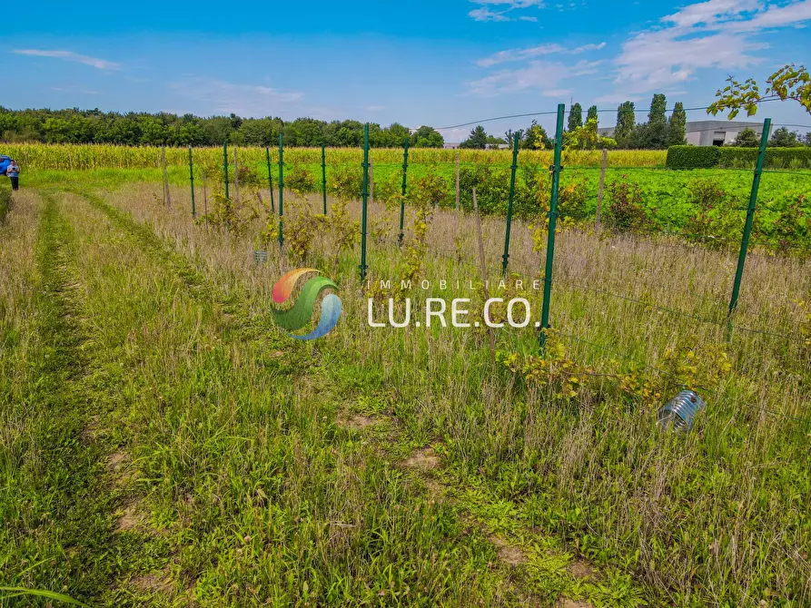 Immagine 21 di Terreno agricolo in vendita  in Via dell'industria a Vimercate