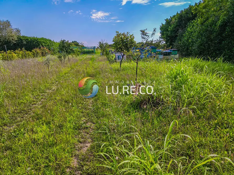 Immagine 22 di Terreno agricolo in vendita  in Via dell'industria a Vimercate