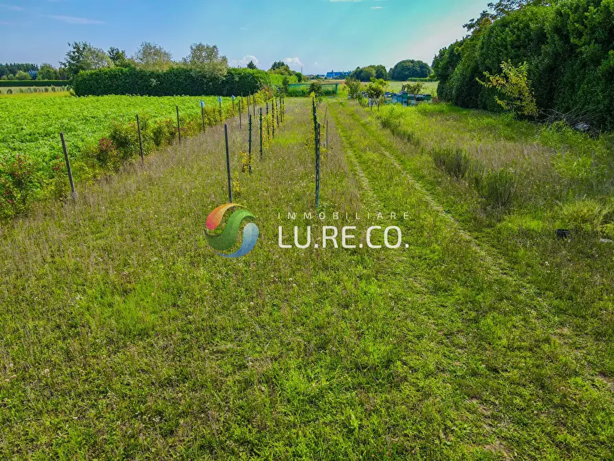 Immagine 23 di Terreno agricolo in vendita  in Via dell'industria a Vimercate