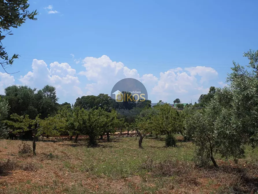 Immagine 25 di Terreno agricolo in vendita  in Contrada Romanazzi a Monopoli
