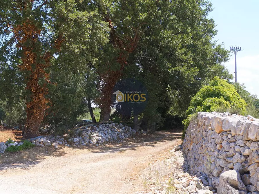 Immagine 34 di Terreno agricolo in vendita  in Contrada Romanazzi a Monopoli