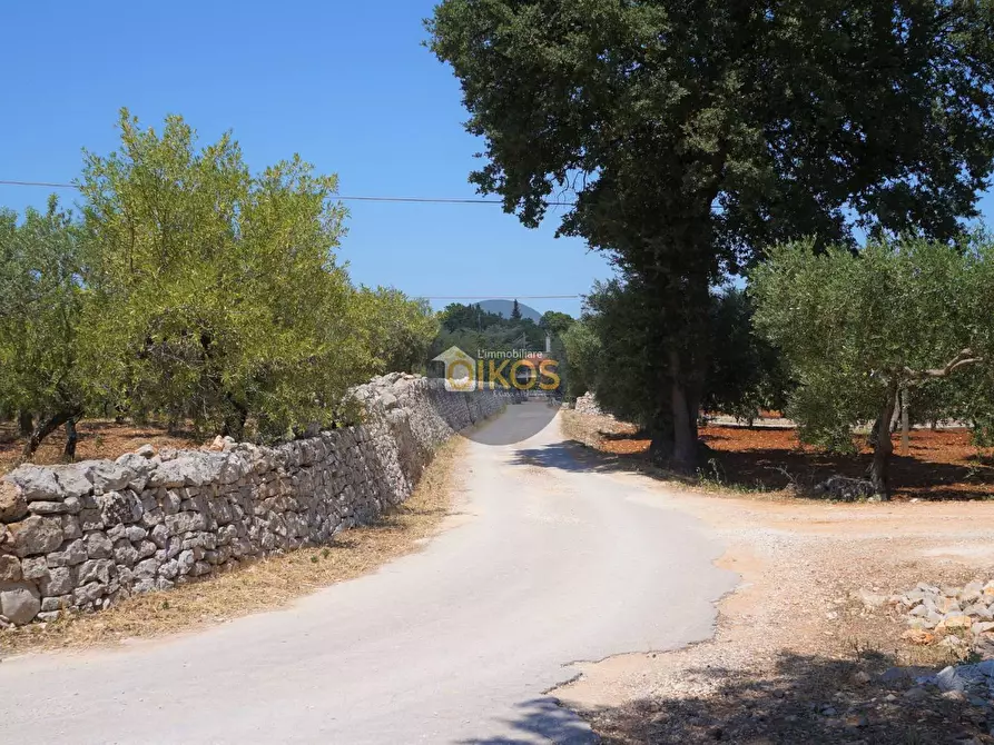 Immagine 35 di Terreno agricolo in vendita  in Contrada Romanazzi a Monopoli
