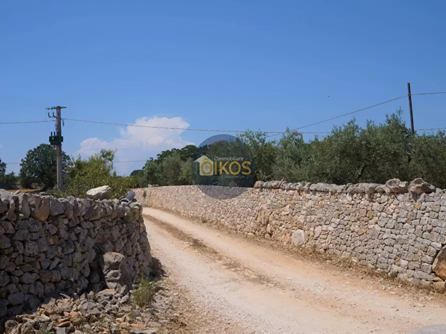Immagine 37 di Terreno agricolo in vendita  in Contrada Romanazzi a Monopoli