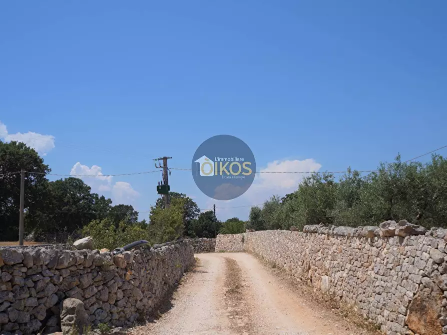 Immagine 36 di Terreno agricolo in vendita  in Contrada Romanazzi a Monopoli