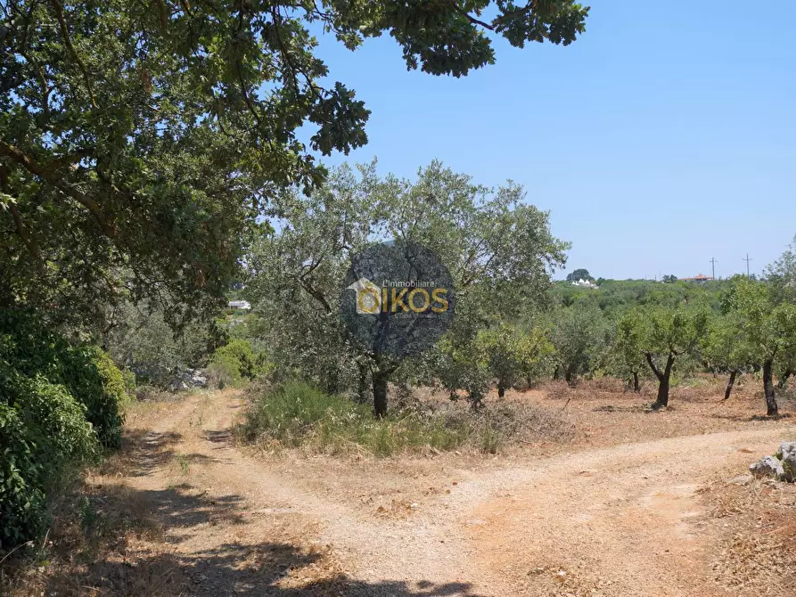 Immagine 1 di Terreno agricolo in vendita  in Contrada Romanazzi a Monopoli