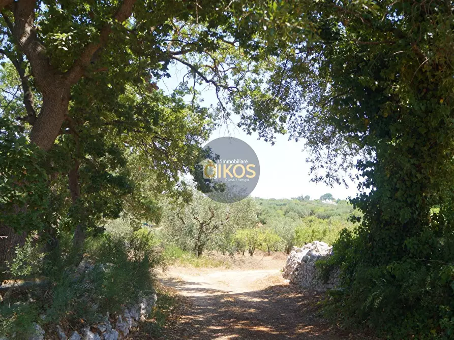 Immagine 40 di Terreno agricolo in vendita  in Contrada Romanazzi a Monopoli