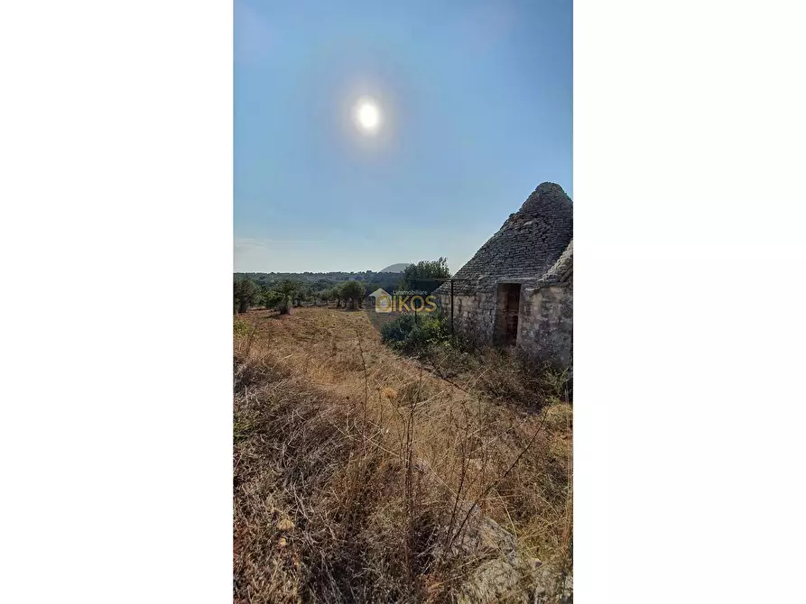 Immagine 1 di Terreno agricolo in vendita  in Contrada Cervarulo a Monopoli