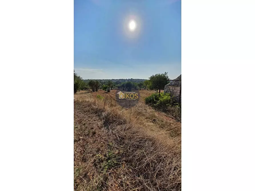 Immagine 6 di Terreno agricolo in vendita  in Contrada Cervarulo a Monopoli