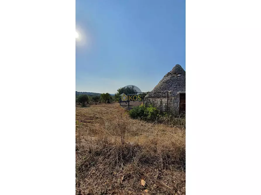 Immagine 7 di Terreno agricolo in vendita  in Contrada Cervarulo a Monopoli