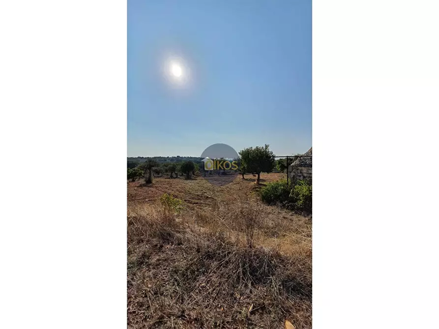 Immagine 8 di Terreno agricolo in vendita  in Contrada Cervarulo a Monopoli