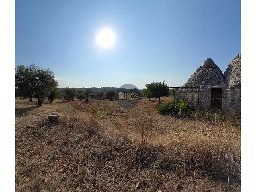 Immagine 2 di Terreno agricolo in vendita  in Contrada Cervarulo a Monopoli